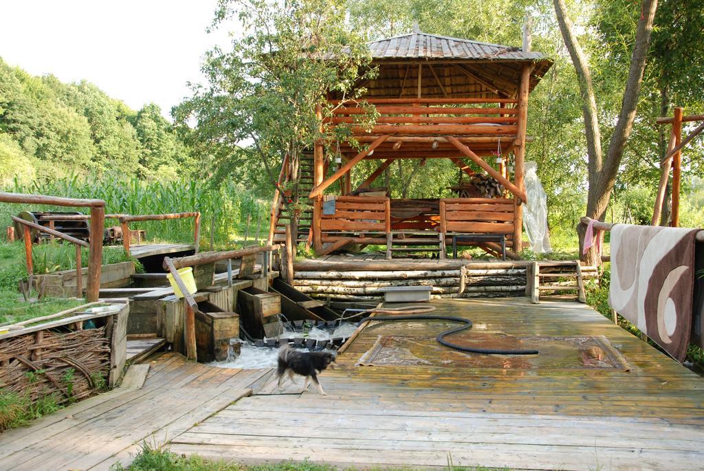 Pensiunea La Gorgan Vadu Izei Ngoại thất bức ảnh